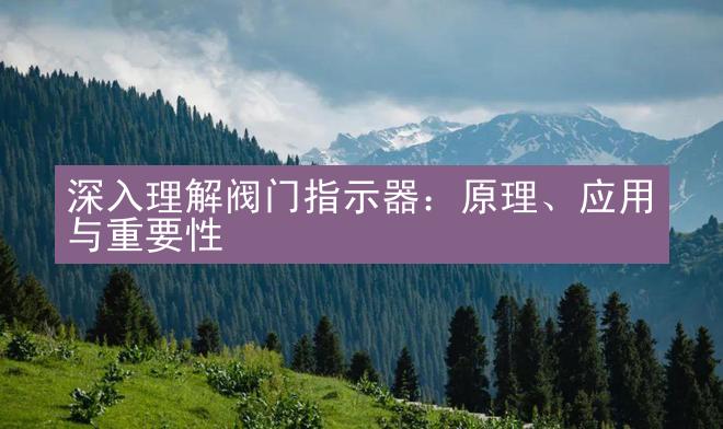 深入理解阀门指示器：原理、应用与重要性