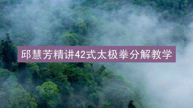 邱慧芳精讲42式太极拳分解教学