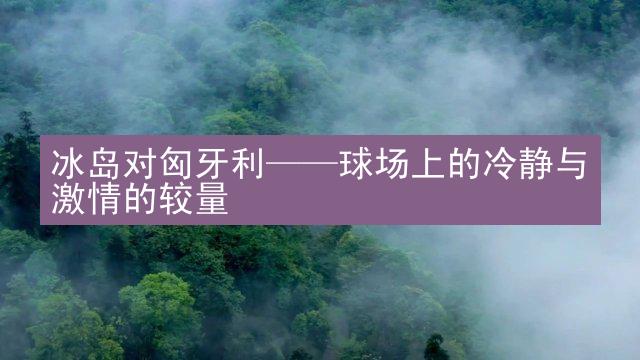 冰岛对匈牙利——球场上的冷静与激情的较量