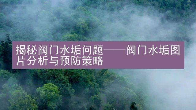 揭秘阀门水垢问题——阀门水垢图片分析与预防策略