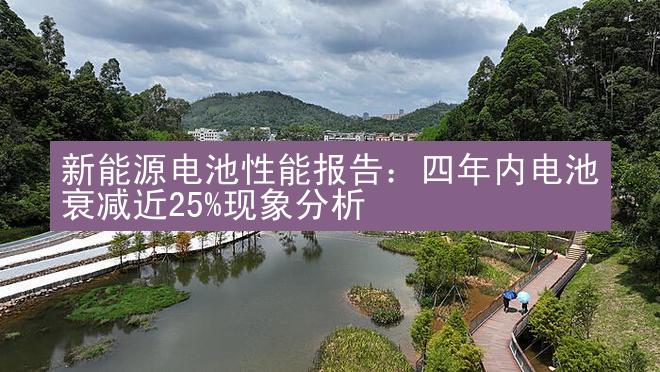 新能源电池性能报告：四年内电池衰减近25%现象分析