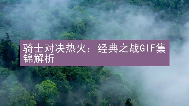 骑士对决热火：经典之战GIF集锦解析