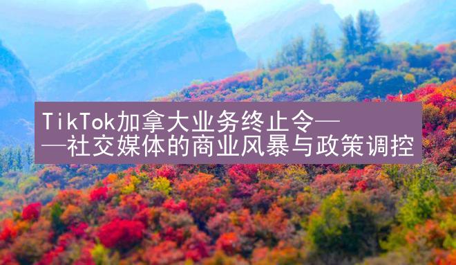 TikTok加拿大业务终止令——社交媒体的商业风暴与政策调控