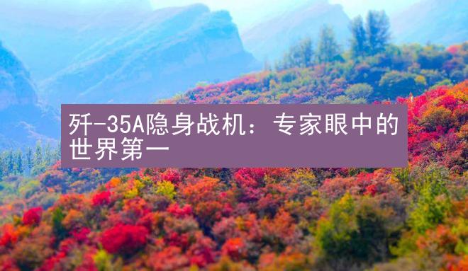 歼-35A隐身战机：专家眼中的世界第一