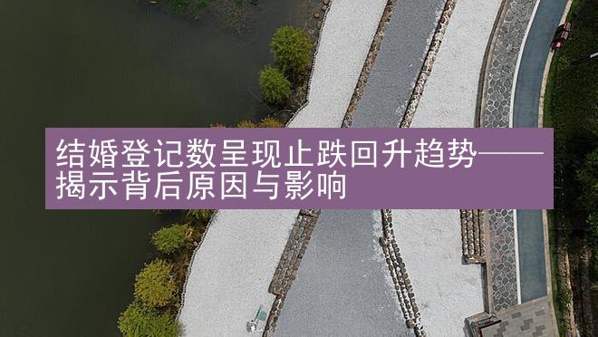 结婚登记数呈现止跌回升趋势——揭示背后原因与影响