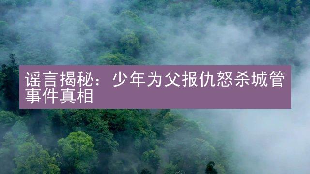 谣言揭秘：少年为父报仇怒杀城管事件真相