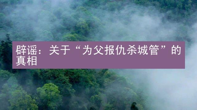 辟谣：关于“为父报仇杀城管”的真相