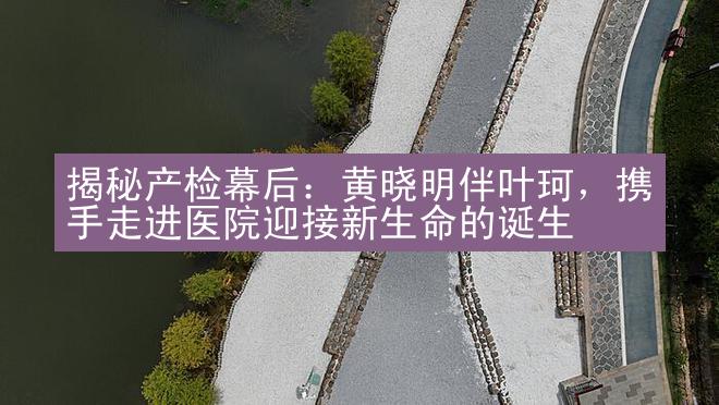 揭秘产检幕后：黄晓明伴叶珂，携手走进医院迎接新生命的诞生