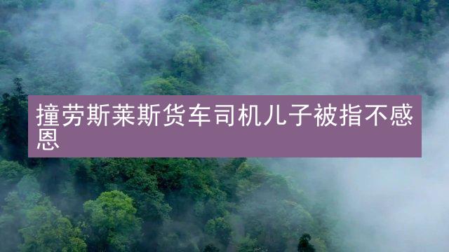 撞劳斯莱斯货车司机儿子被指不感恩