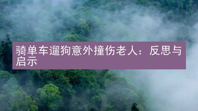 骑单车遛狗意外撞伤老人：反思与启示