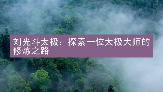 刘光斗太极：探索一位太极大师的修炼之路