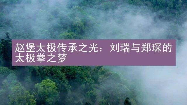 赵堡太极传承之光：刘瑞与郑琛的太极拳之梦