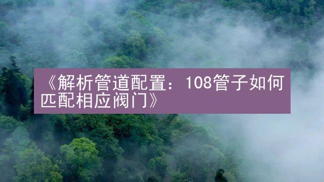 《解析管道配置：108管子如何匹配相应阀门》