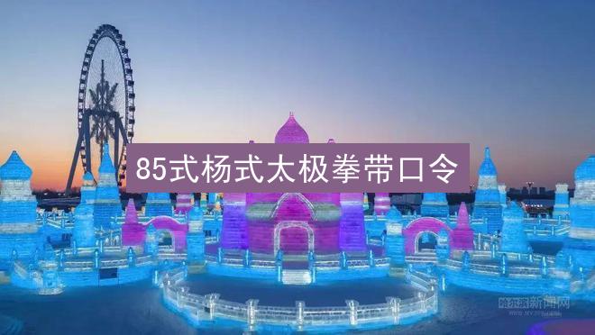 85式杨式太极拳带口令