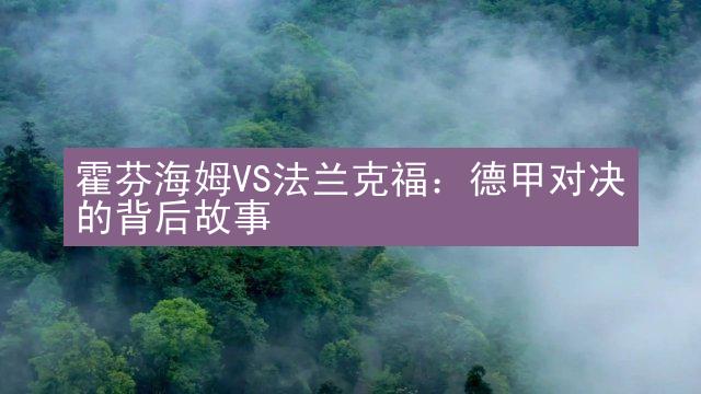 霍芬海姆VS法兰克福：德甲对决的背后故事