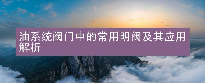 油系统阀门中的常用明阀及其应用解析