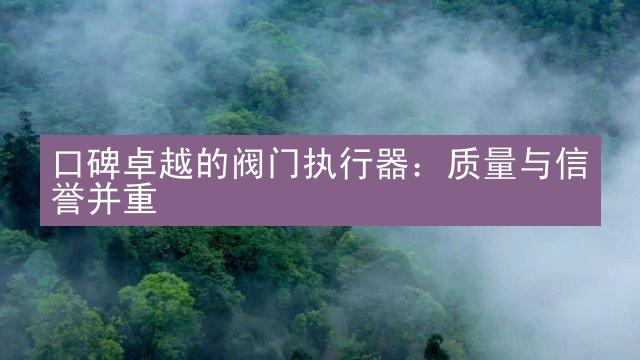 口碑卓越的阀门执行器：质量与信誉并重