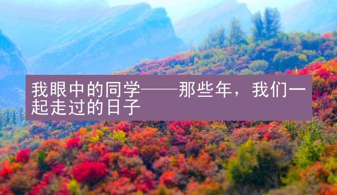 我眼中的同学——那些年，我们一起走过的日子