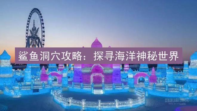 鲨鱼洞穴攻略：探寻海洋神秘世界