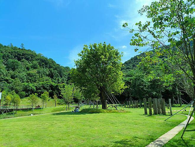 《重庆一知名景区人潮汹涌，大量游客滞留现象引发关注》